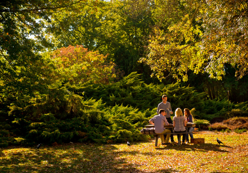 Mount Lofty Botanic Garden
