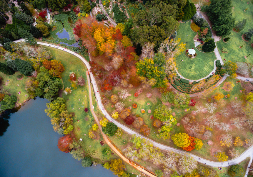 Mount Lofty Botanic Garden
